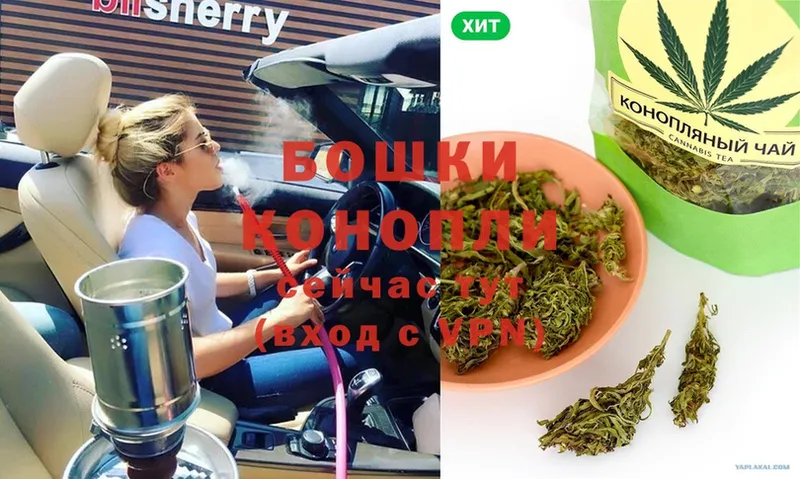 Бошки марихуана OG Kush  купить наркоту  Новомосковск 